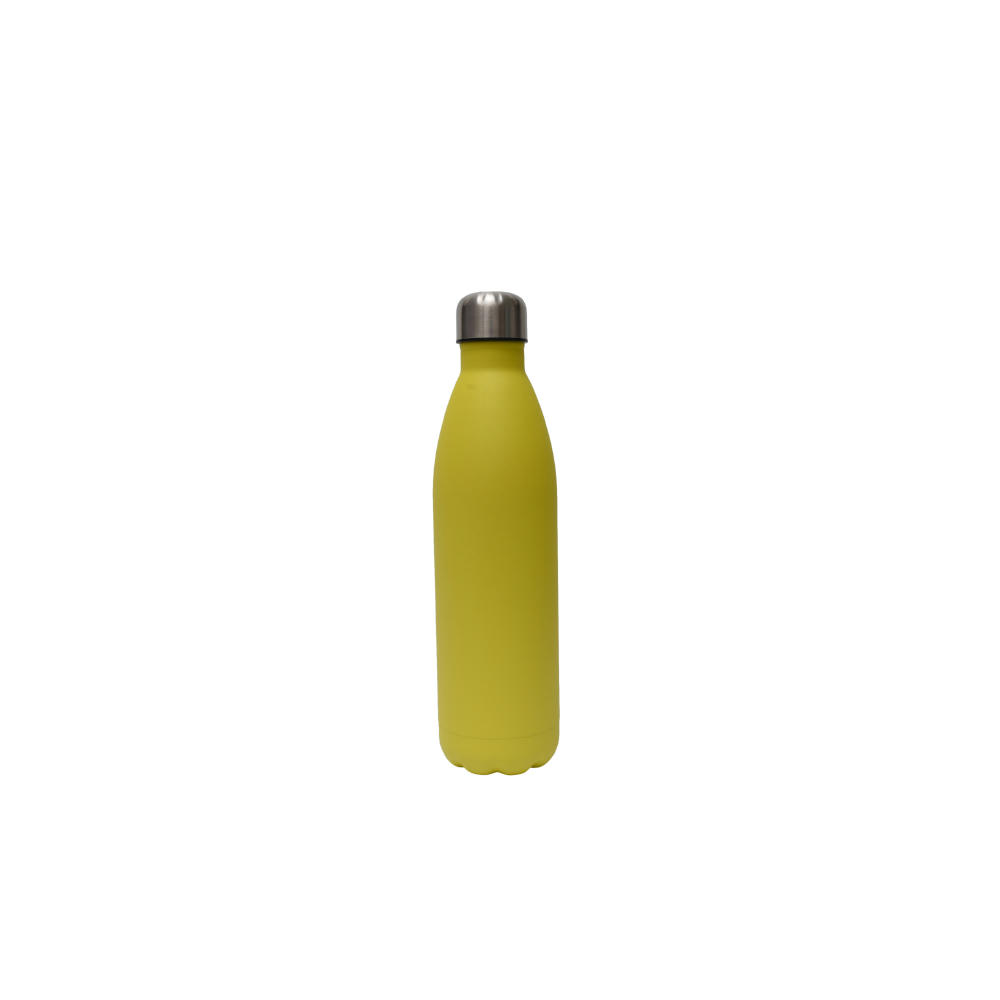 SteelSip Bottle