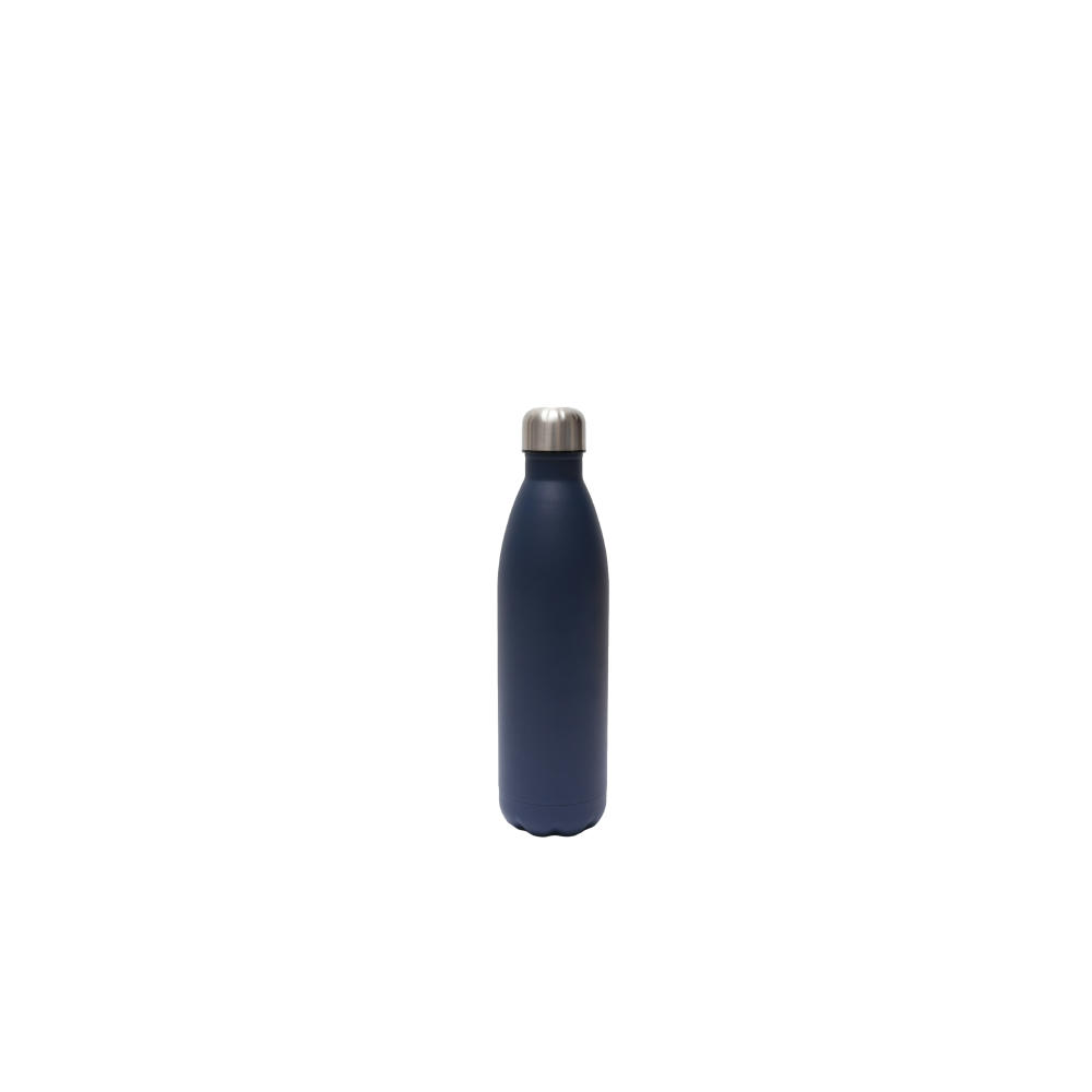 SteelSip Bottle