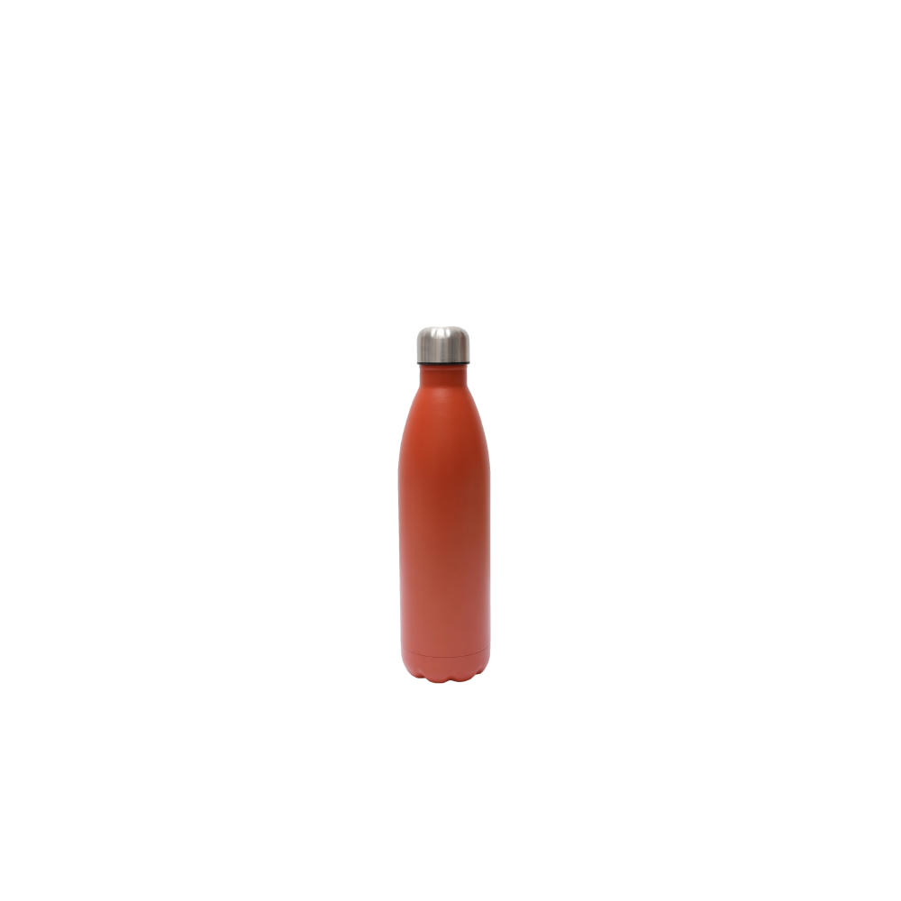 SteelSip Bottle