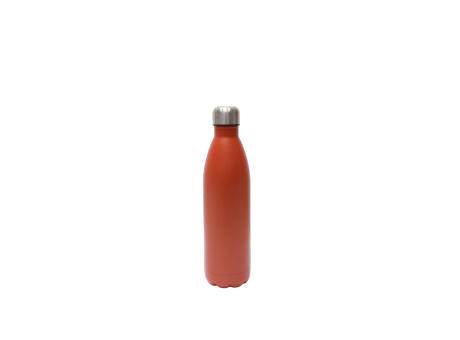 SteelSip Bottle