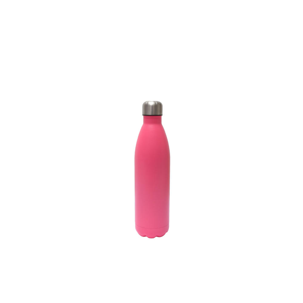 SteelSip Bottle