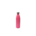 SteelSip Bottle