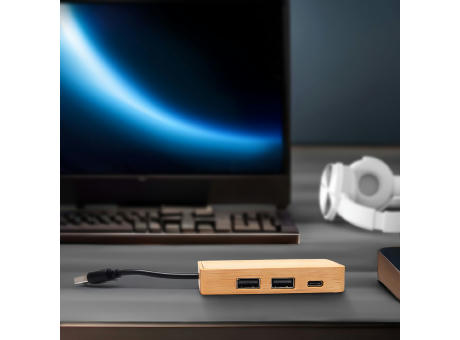 BrightBamboo USB Hub 