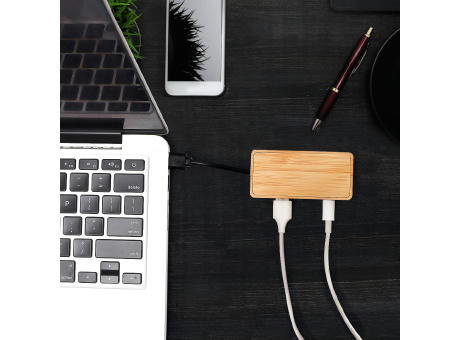 BrightBamboo USB Hub 