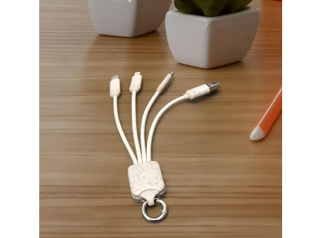 ChargeSquare USB Cable