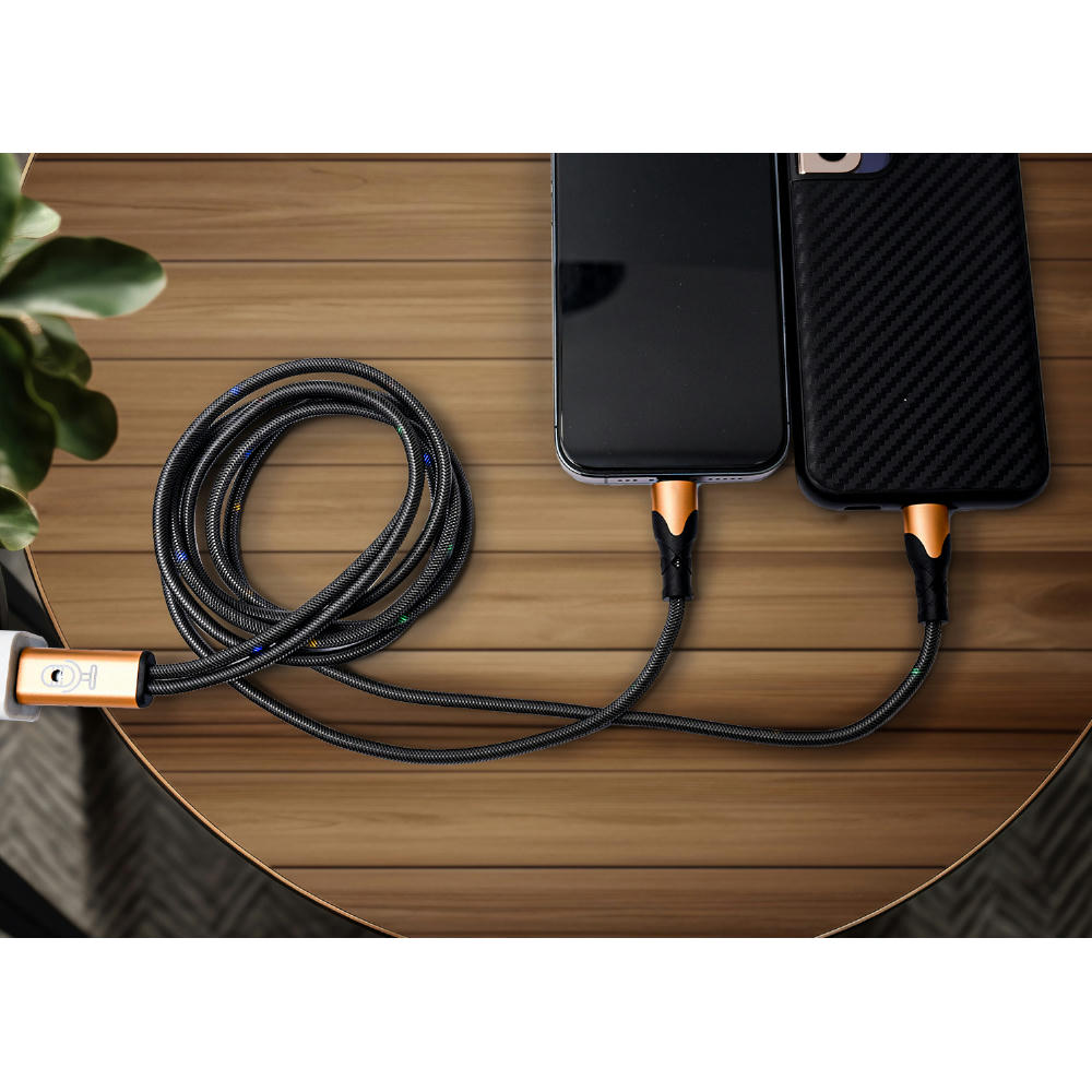 VoiceSync LED 2-in-1 Cable