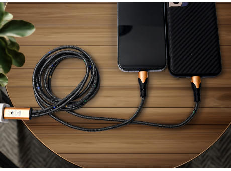 VoiceSync LED 2-in-1 Cable