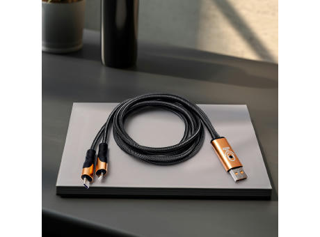 VoiceSync LED 2-in-1 Cable