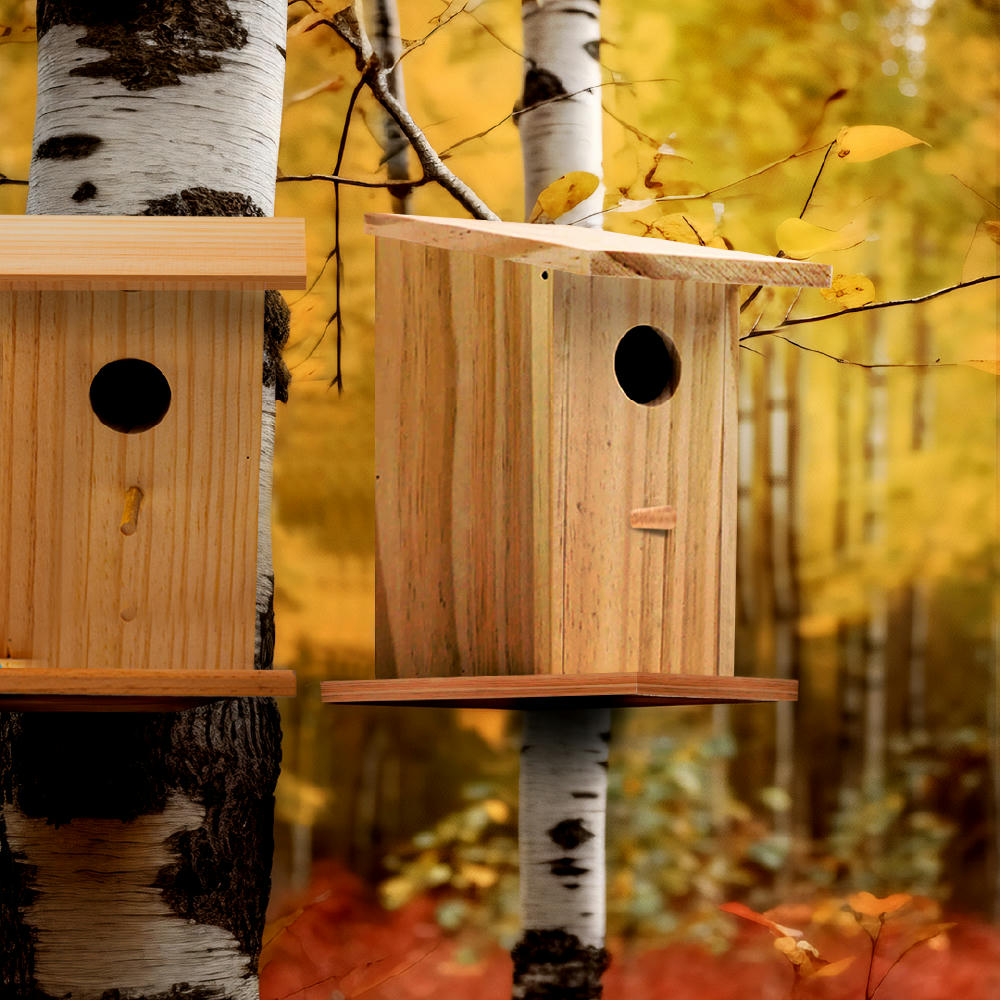 Bird House Retreat 