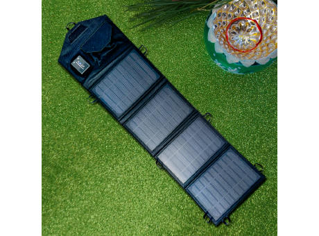 EcoGlow 14W Solar Panel