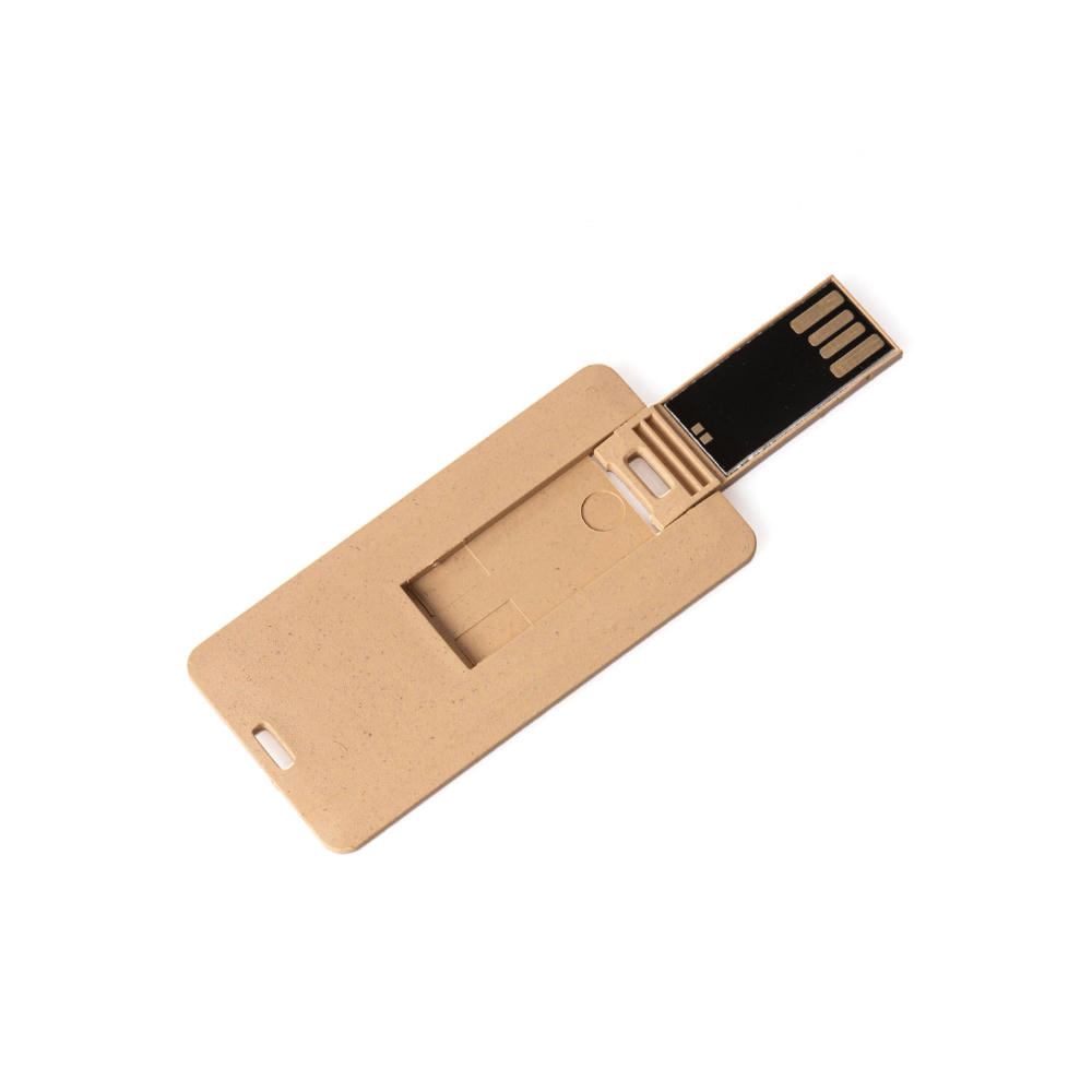 EcoFlashDrive Card Mini