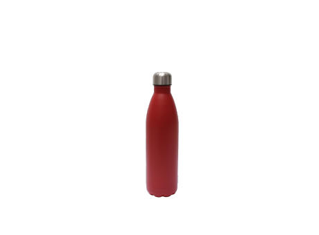 SteelSip Bottle