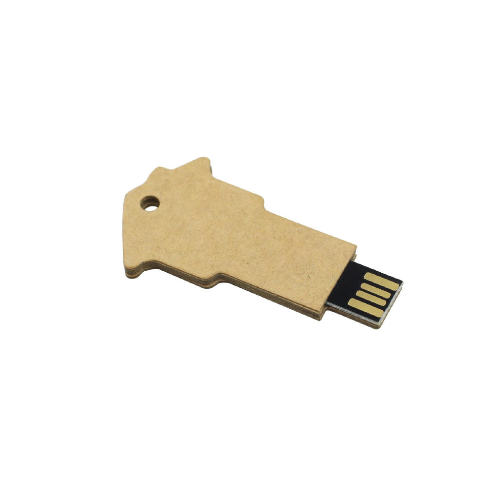 PaperHome USB Drive