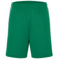 Basic Team Shorts - Funktionelle Teamshorts ohne Innenslip