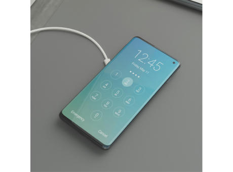 Wireless Charger Axis - Weizenstroh