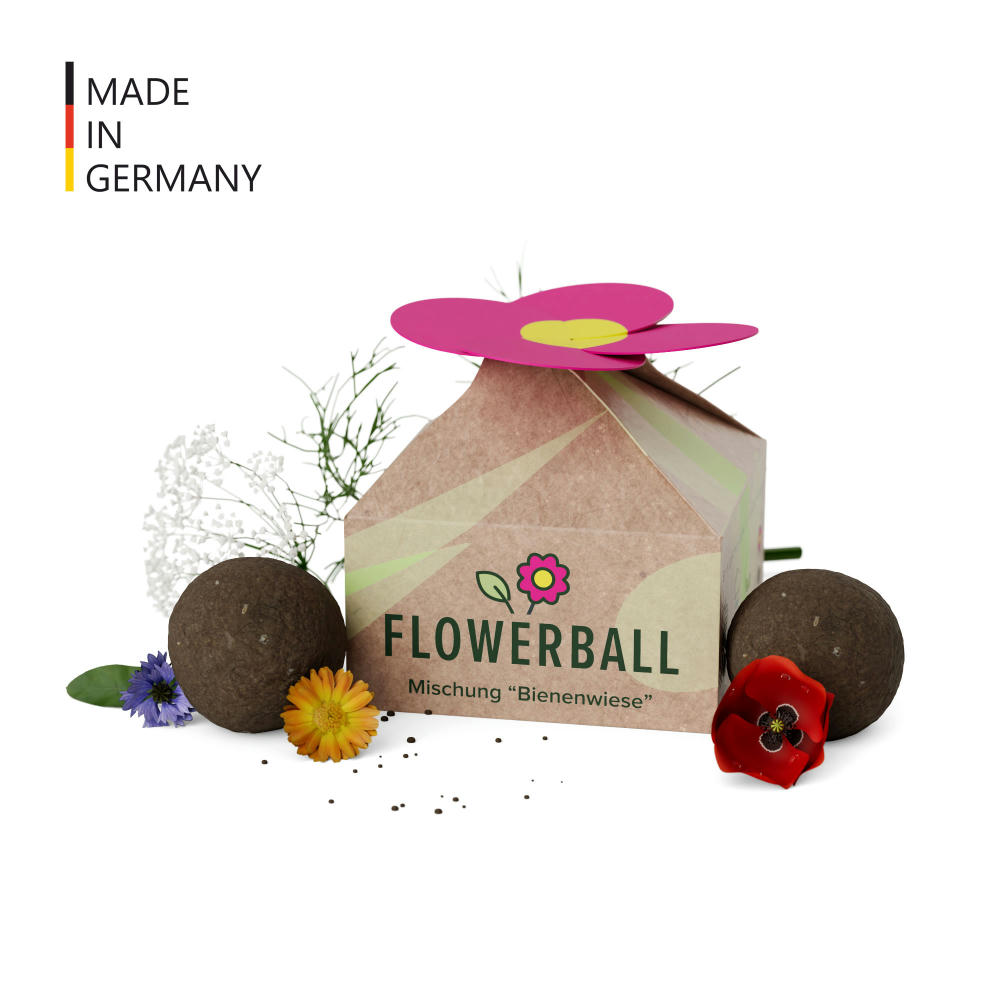 Seedbomb Set - Flower-Ball "Bienenwiese"