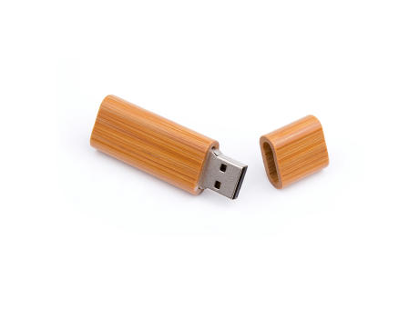 USB Stick Holz Limb