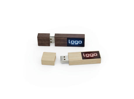 USB Stick Woodshine