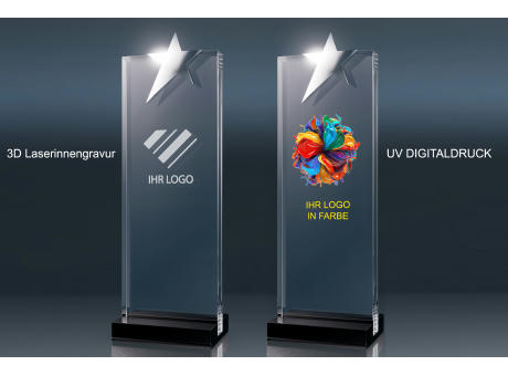 Crystal Trophy Star (L)