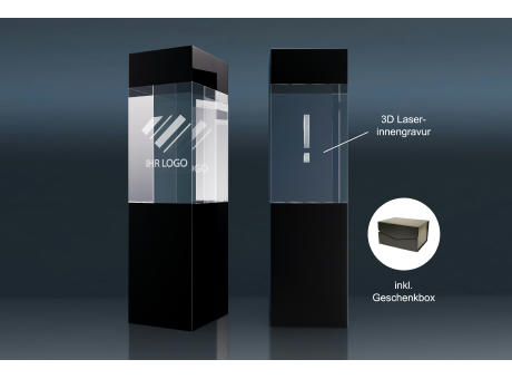 Crystal-Trophy 'Black Beauty' (L)