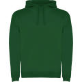 SUDADERA URBAN CON CAPUCHA T/XS VERDE BOTELL