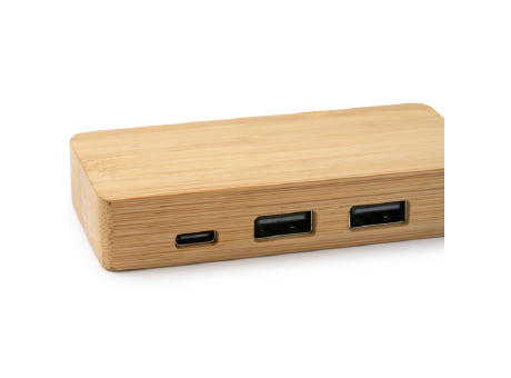 PUERTO USB NEPTUNE MADERA