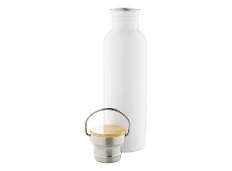 Edelstahl-Trinkflasche Colman