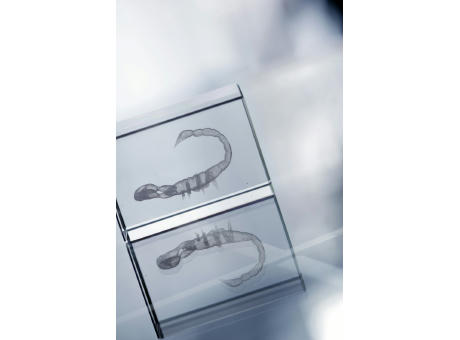 Glas-Quader Macon