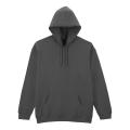 Kapuzensweatshirt GISF500