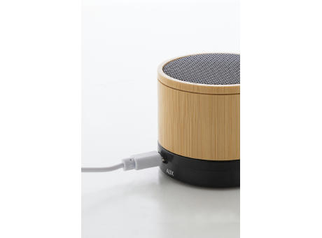 Funklautsprecher, RABS BooBeat