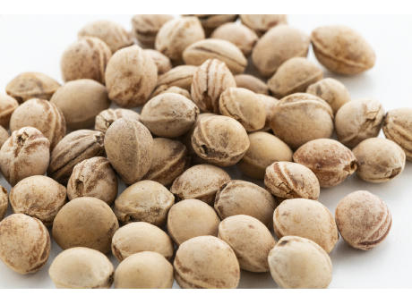 Kirschkernkissen PitHeat Ear