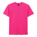 T-Shirt GI64000