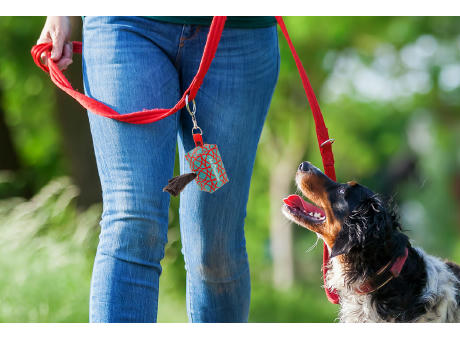 Individueller RPET Hundebeutelspender Pavesave