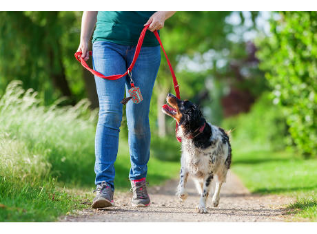 Individueller RPET Hundebeutelspender Pavesave