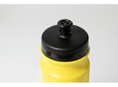 Trinkflasche Palmares