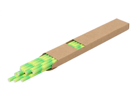 Trinkhalm-Set BamStraw