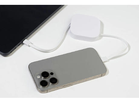 60W USB-C-Kabel aus RABS Hobsle