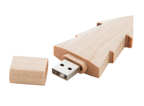 USB Stick Limber