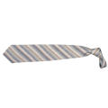 Krawatte Tienamic