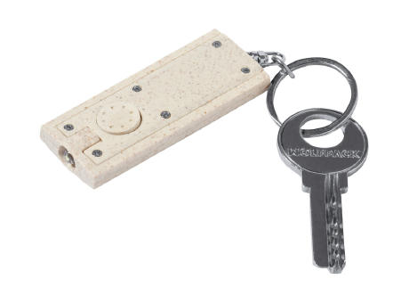 Schlüsselring mit Taschenlampe Tasex