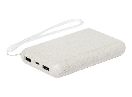 Powerbank Surum