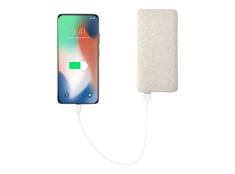 Powerbank Golblum