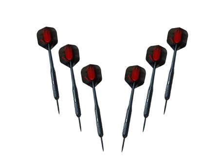 Dart Labor Dartboard BullOut Tournament mit 2 Sets Darts | inkl. 4c Druck