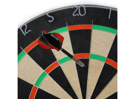 Dart Labor Dartboard BullOut Tournament mit 2 Sets Darts | inkl. 4c Druck