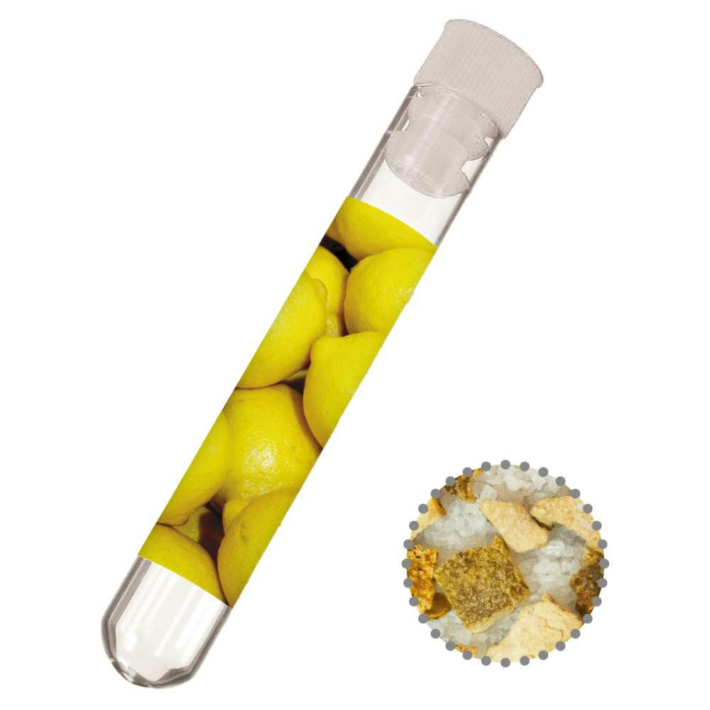 Gewürzmischung Zitronen-Salz, ca. 12g, Reagenzglas
