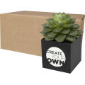 Maceta de aluminio con planta, cactus, Hey Pots