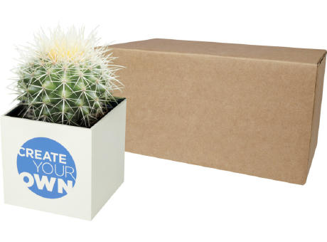 Hey Pots aluminium planted pot - cactus