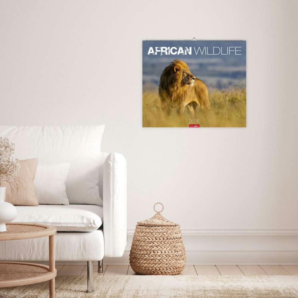 African Wildlife
