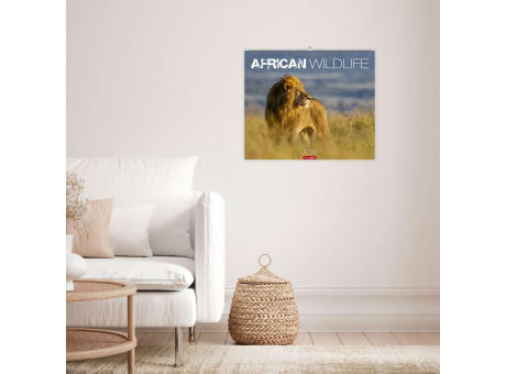 African Wildlife