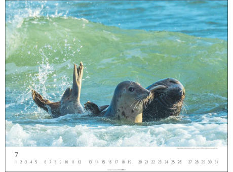 Heimische Wildtiere